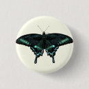 Suche nach realistisch buttons Schmetterling