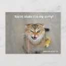 Suche nach verrückte katze einladungen Party