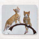 Suche nach cate mousepads Für kinder