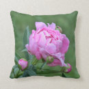 Suche nach pfingstrose kissen Sommer