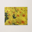 Suche nach keukenhof puzzle Holland
