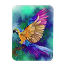 Suche nach parrot magnete Bunt