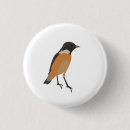 Suche nach vogel buttons Bunt