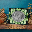 Suche nach wild fotoplatten Natur