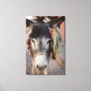 Suche nach jaynes galerie leinwandbilder Von nahem