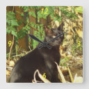 Suche nach schwarze katze wanduhren Tiere