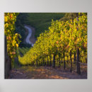 Suche nach südaustralien poster Stralia