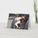 Suche nach brille karten Welpe