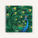 Suche nach pfau notizbuch Bunt