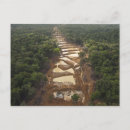 Suche nach guyana postkarten Regenwald