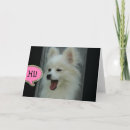 Suche nach lustige hallo karten Hund