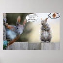 Suche nach nuss mit eichhörnchen poster Tierwelt