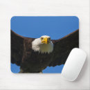 Suche nach im flug mousepads Greifvogel