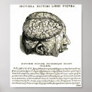 Suche nach menschliche knochen poster Skelette