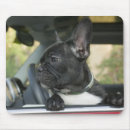 Suche nach seitenansicht mousepads Zuhause