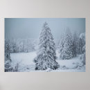 Suche nach nadelbäume poster Winter