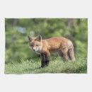 Suche nach fuchs geschirr tücher Wild