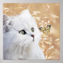 Suche nach schmetterling poster Weiß