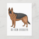 Suche nach deutscher schäferhund postkarten Hunderasse
