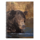 Suche nach braunbär kleine notizbücher Tier