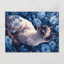 Suche nach blaue maus postkarten Niedlich