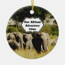 Suche nach afrikanischer elefant ornamente Elefanten