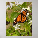 Suche nach hobby poster Blume