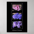 Suche nach violett poster Blau
