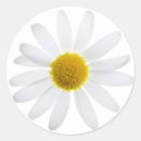 Suche nach margeriten aufkleber Sommer