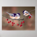 Suche nach rote beere poster Baum