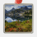 Suche nach alpine ornamente Berg