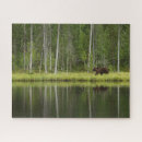 Suche nach finnland puzzle Natur