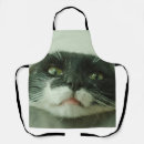 Suche nach kätzchen schürzen Katze