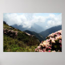 Suche nach taiwan poster Natur