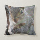 Suche nach nüsse kissen Erdnuss