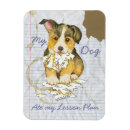 Suche nach pembroke welsh corgi magnete Welpe