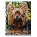 Suche nach yorkshire terrier kleine notizbücher Haustier