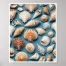Suche nach die muschel poster Wandkunst