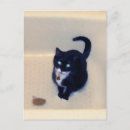 Suche nach badewanne postkarten Katze