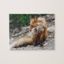 Suche nach fuchs puzzle Natur