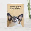 Suche nach alberne lustige karten Hund