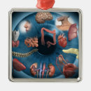 Suche nach körperteile ornamente Medizinisch