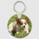 Suche nach papillon hund schlüsselanhänger Schmetterling