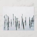 Suche nach seevogel postkarten Pelikane