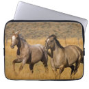 Suche nach pferd laptop schutzhüllen Ranch