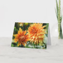 Suche nach dahlia karten Blumengarten