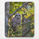 Suche nach landkreise mousepads Wald