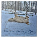 Suche nach weißes pferd fliesen Winterszene