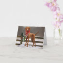 Suche nach vizsla hund karten Weihnachten