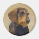 Suche nach dachshund magnete Dog